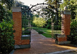 Garden of Shakespeare's Flowers